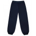 Синие утеплённые брюки для мальчика 75745-МО18