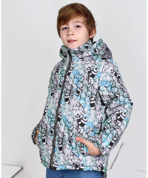 Куртка для мальчика на осень-весну 75922-МЗ15