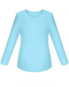 Школьный джемпер (блузка) для девочки 80205-ДШ19