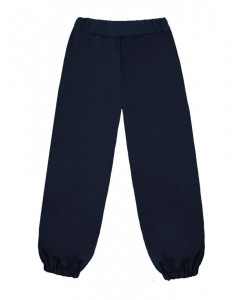 Синие утепленные брюки для мальчика 75736-МО18
